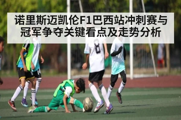 诺里斯迈凯伦F1巴西站冲刺赛与冠军争夺关键看点及走势分析